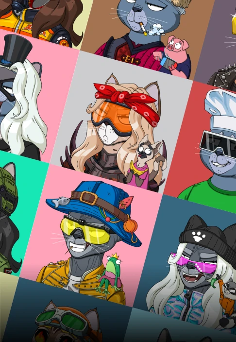 Projects NFT Collection